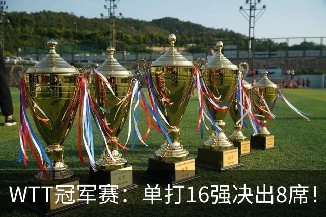 WTT冠军赛：单打16强决出8席！国乒大获全胜，林昀儒苦战5局逆转